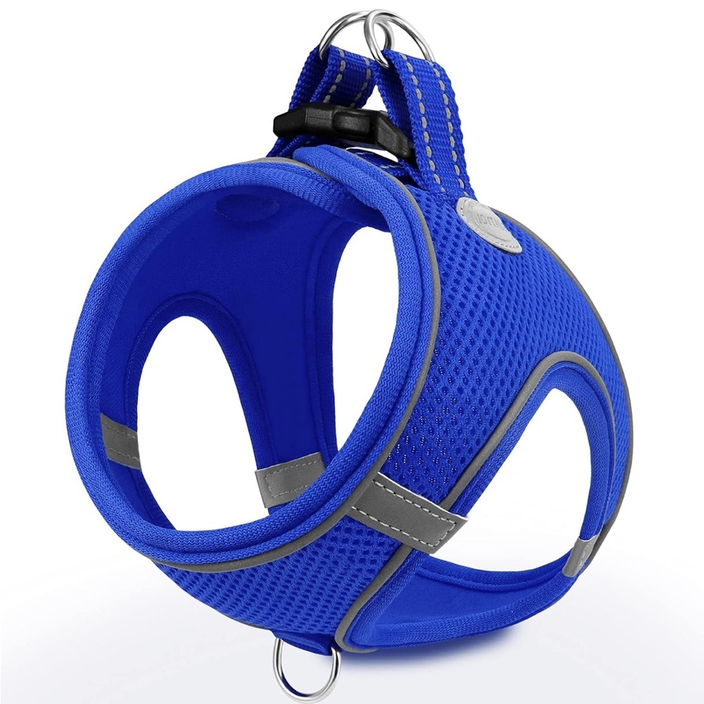 Blue Mesh Dog Harness